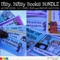 Reading Comprehension Mini Books Bundle for Younger Students