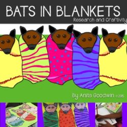 Bats in Blankets Research and Craftivity