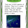 Firefly Fact Find - Image 2