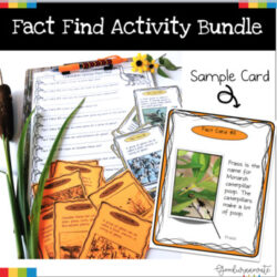 Fact Find Activity Bundle