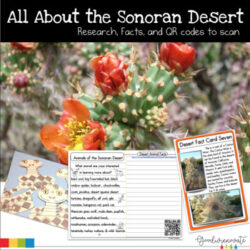 Sonoran Desert Fact and Research