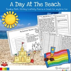 A Day at The Beach